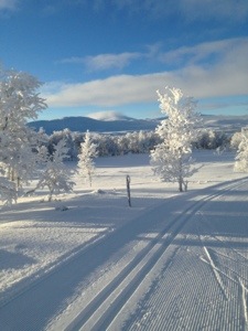 Nypistat mellan Hamra och Fjällnäs