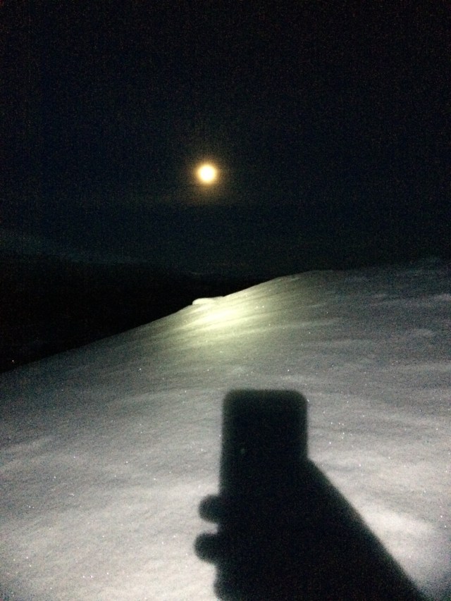 Pannlampspass uppe på fjället