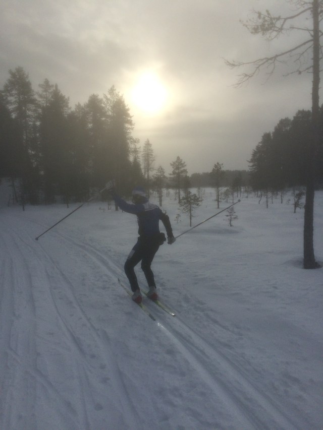 Bror på ett mysigt myrspår i Grönklitt.