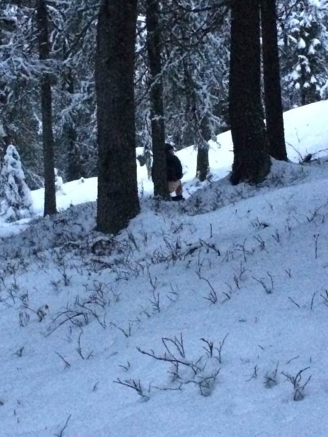 En inte alltför ovanlig syn i en dunge runt Berga By första söndagen i mars.