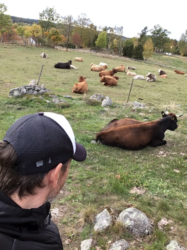 Bansnitsling varvades med grundkurs i hur man liggandes kan bajsa ute i det fria.