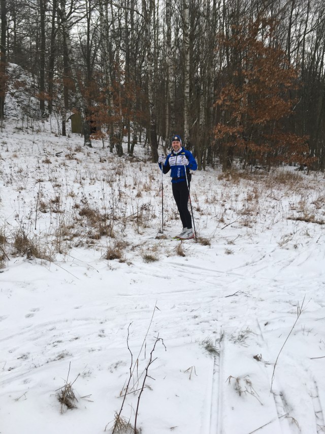 Bror i ett vinterlandskap. Man kan ana något grässtrå om man tittar noga