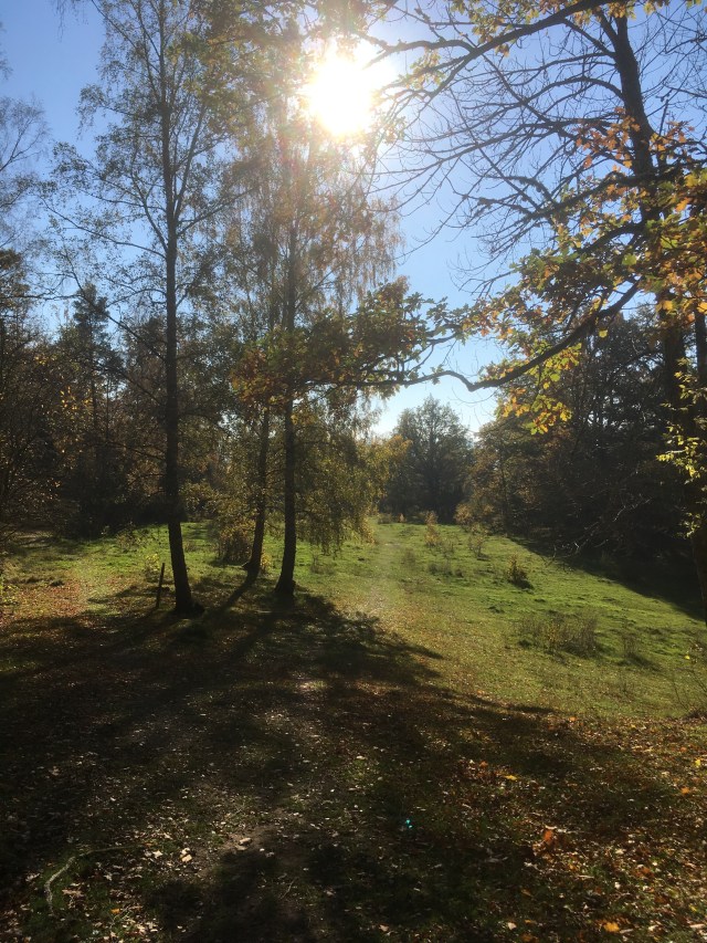 3C96016D-C459-4902-A346-6EF5CBF7EC6A