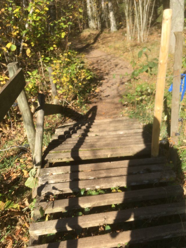 896D32D7-9F72-4DAA-BDB6-B1147DF37CC4