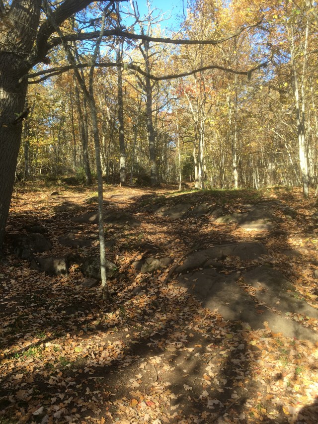 95169EDA-C3BA-4FAF-BAC3-275225062C70