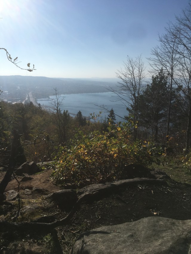 CE15F82B-2BD2-48E9-A9BD-6C4F8CD713B9